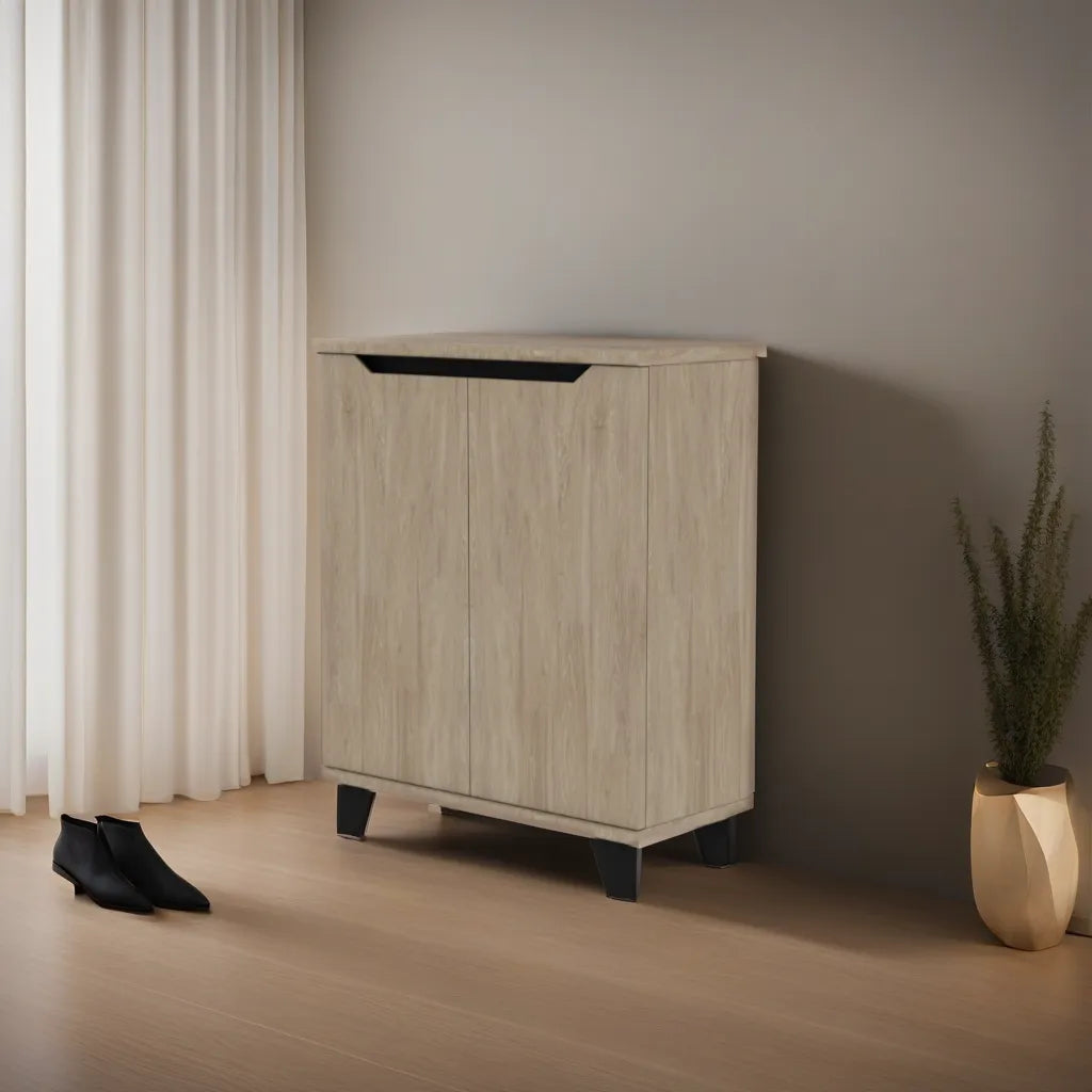 Marler 2 Door Shoe Cabinet