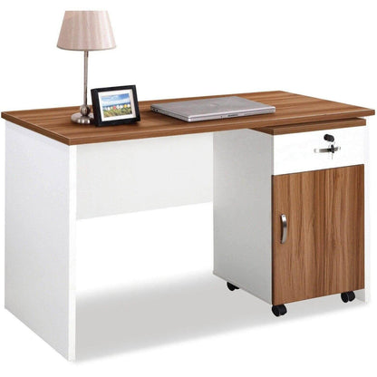 Ardine II Study Desk (120cm) Singapore