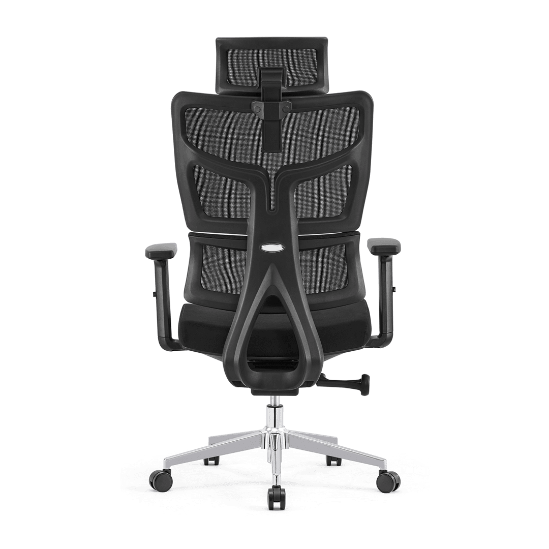 Blane Office Chair Singapore