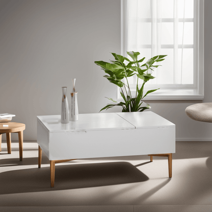 Celeste Coffee Table with Storage Singapore