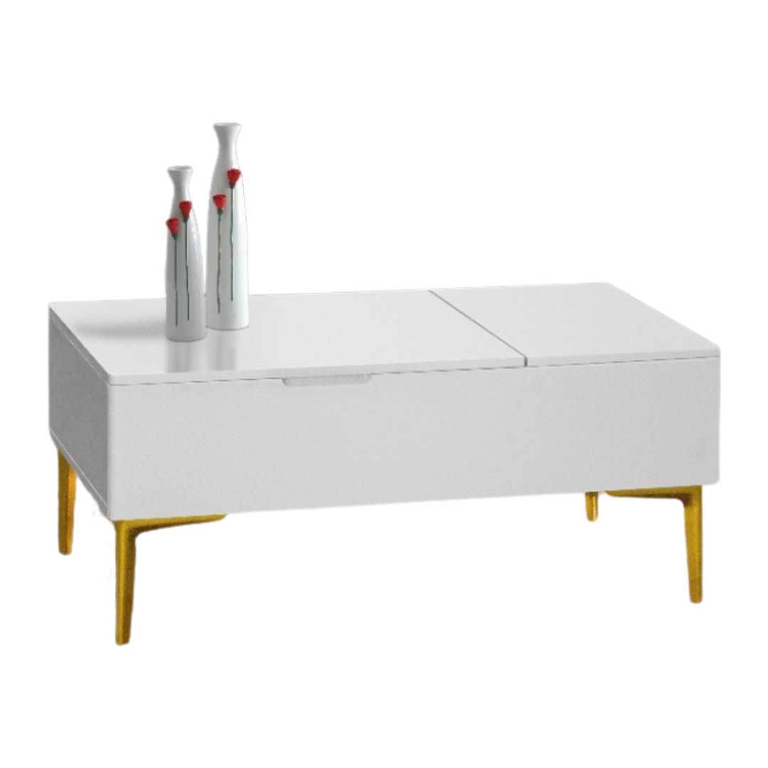 Celeste Coffee Table with Storage Singapore