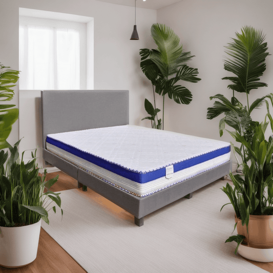 Cony Bedframe + Solano Spring Mattress Bed Set Singapore