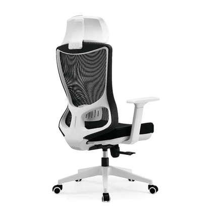 Dustin Office Chair Singapore