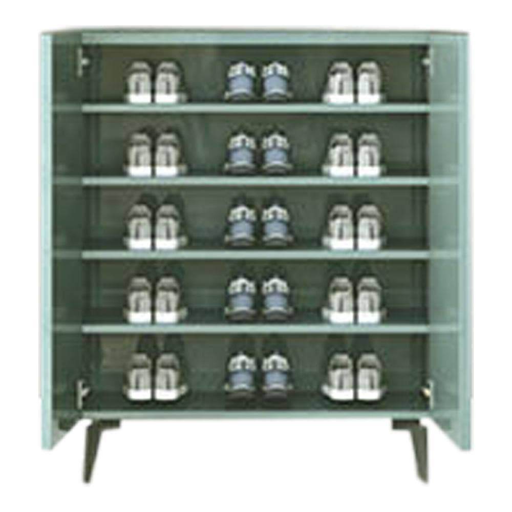 Evanth I Green 2 Door Shoe Cabinet Singapore