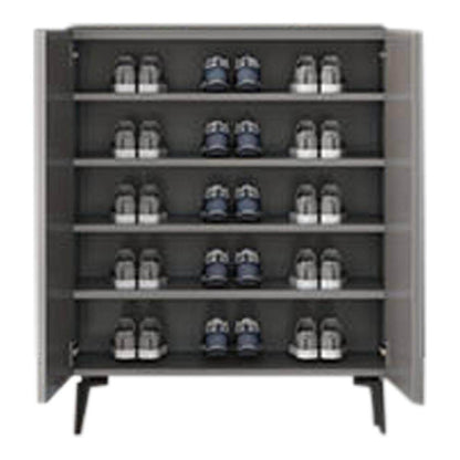 Evanth I Grey 2 Door Shoe Cabinet Singapore