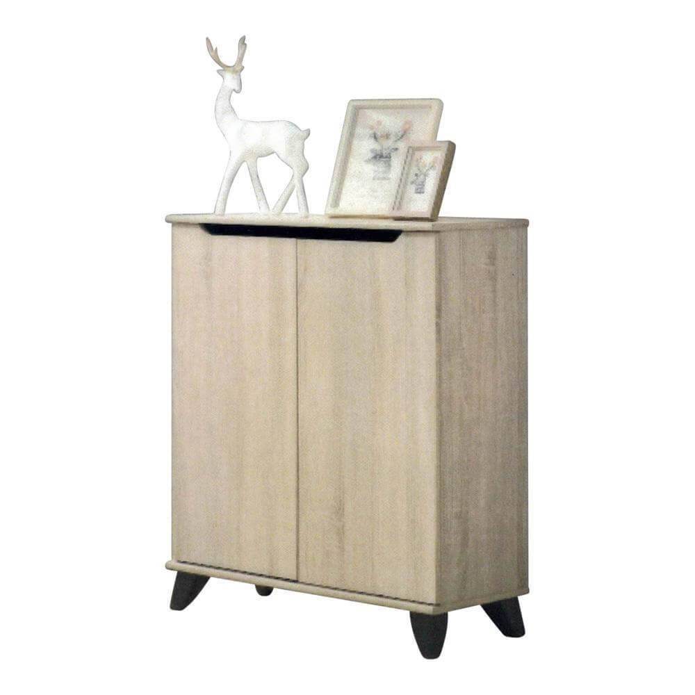 Melden 2 Door Shoe Cabinet Singapore